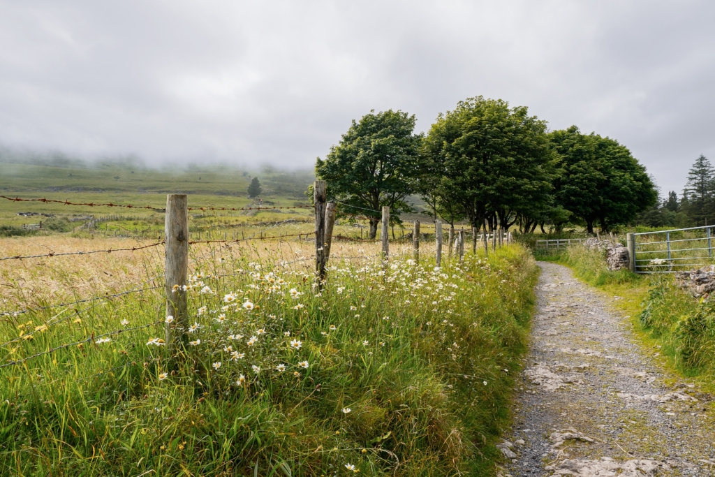 “I was a wanderer who feels the solace of his native land under his feet again and moving in his blood.”